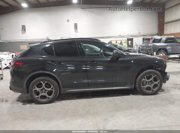 ZASPAKBNXP7D55024 2023 ALFA ROMEO STELVIO Черный Вид задней части салона