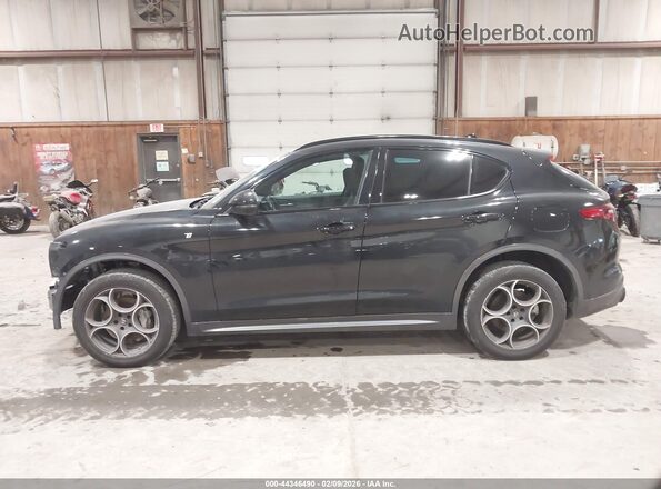ZASPAKBNXP7D55024 2023 ALFA ROMEO STELVIO Черный Панорамный вид салона 360°