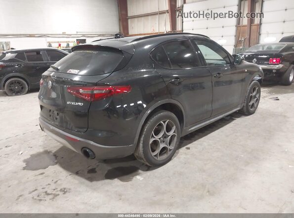 ZASPAKBNXP7D55024 2023 ALFA ROMEO STELVIO Черный Задняя правая четверть