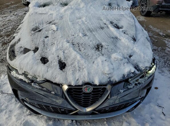 ZASPATCW1R3053979 2024 ALFA ROMEO OTHER Black Engine compartment view