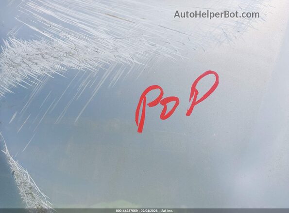 ZN682AVM4P7433772 2023 MASERATI GRECALE Light Blue Widok naklejki z numerem VIN
