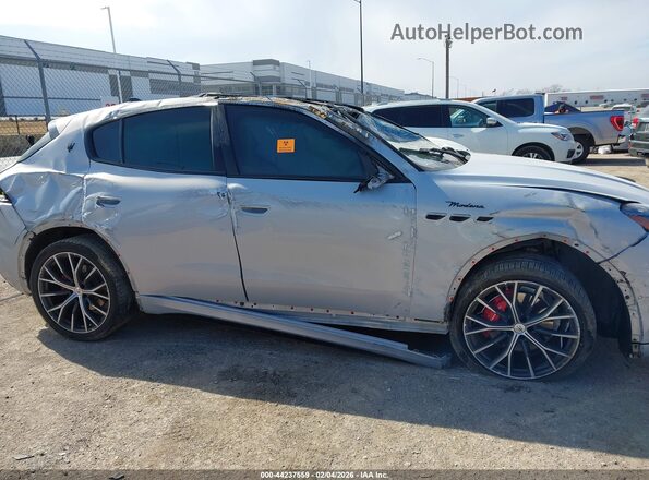 ZN682AVM4P7433772 2023 MASERATI GRECALE Light Blue Widok z tyłu