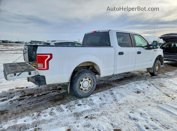 1FTFW1EG0HKD98816 2017 FORD F150 White 