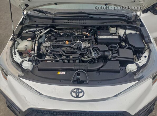 5YFS4MCEXMP075523 2021 TOYOTA LL White უკანა სალონის ხედი