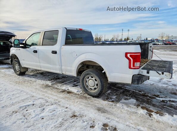 1FTFW1EG0HKD98816 2017 FORD F150 White 
