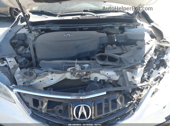 19UUB2F55GA007395 2016 ACURA TLX Белый Вид сзади