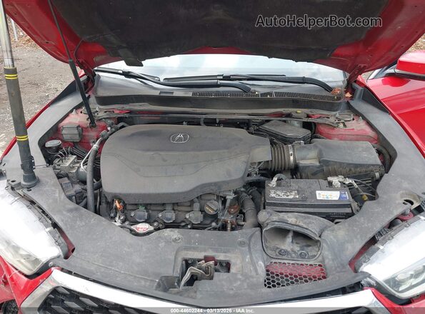 19UUB2F55JA012121 2018 ACURA TLX Red უკანა ხედი