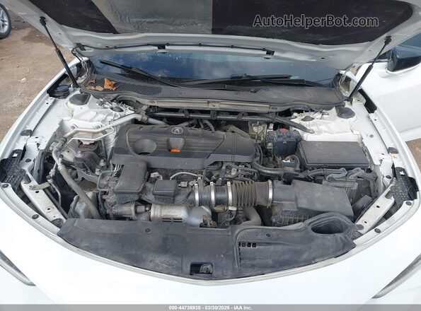 19UUB5F43MA014348 2021 ACURA TLX White უკანა ხედი