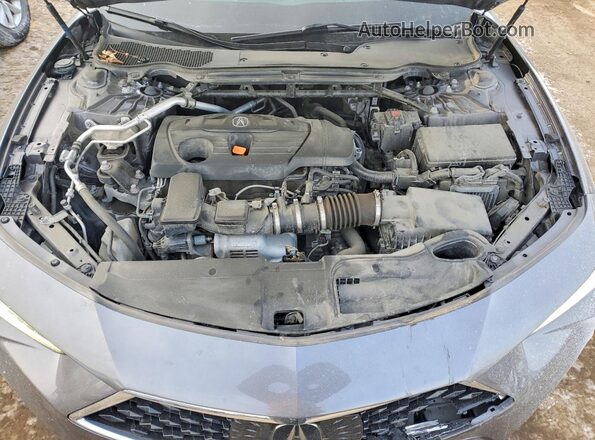 19UUB6F32MA011809 2021 ACURA TLX Gray უკანა სალონის ხედი