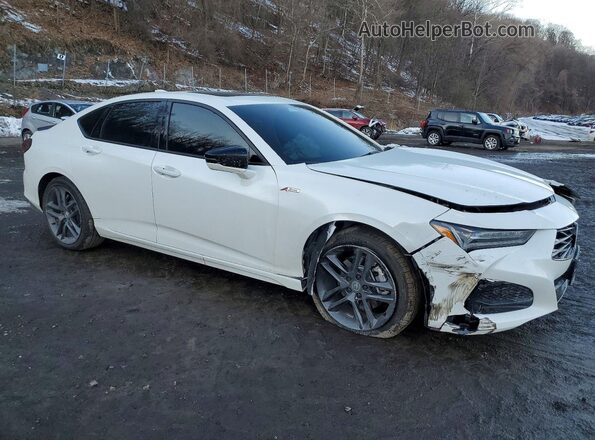 19UUB6F59SA004872 2025 ACURA TLX Black Przód prawy