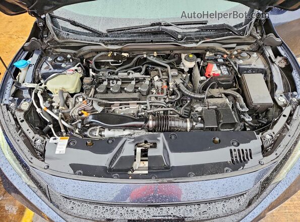 19XFC1F39ME006031 2021 HONDA CIVIC Blue უკანა სალონის ხედი