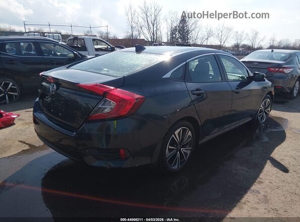 19XFC1F74GE025397 2016 HONDA CIVIC Blue უკანა მარჯვენა