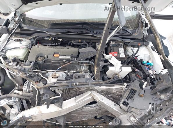19XFC2F88LE028909 2020 HONDA CIVIC White Widok z tyłu