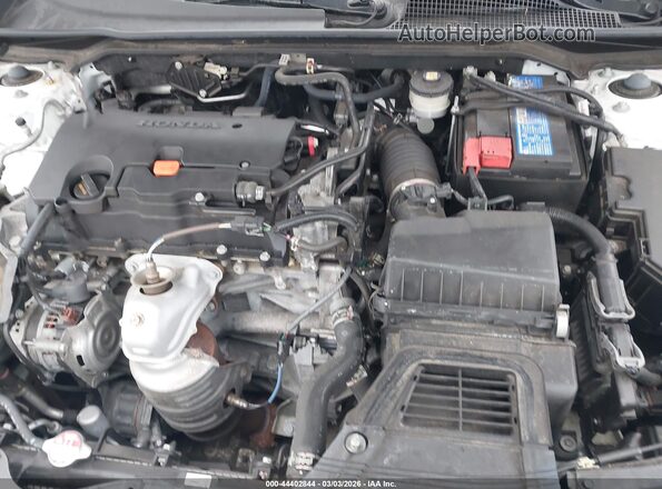 19XFL2H89PE001043 2023 HONDA CIVIC White Հետևի տեսք