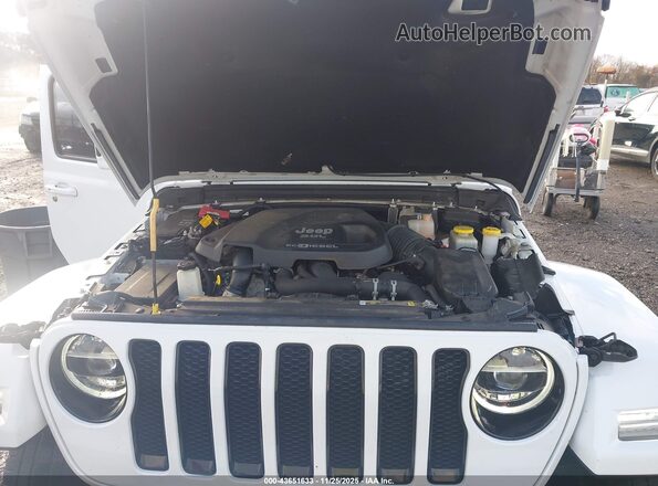 1C4HJXEM5MW598948 2021 JEEP WRANGLER UNLIMITED White Հետևի տեսք