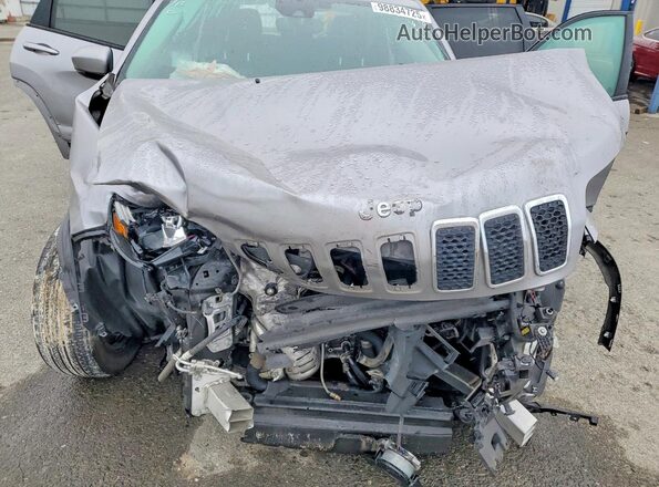 1C4PJLCB0MD164602 2021 JEEP CHEROKEE Silver Вид задньої частини салону