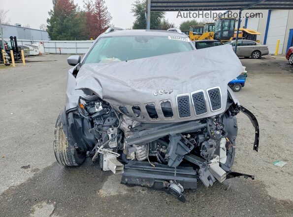 1C4PJLCB0MD164602 2021 JEEP CHEROKEE Silver Вид спереду