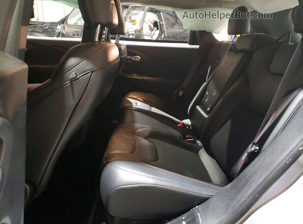 1C4PJMBX8MD171641 2021 JEEP CHEROKEE Серый Вид задней части салона