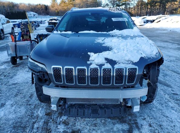 1C4PJMDX1MD148134 2021 JEEP CHEROKEE Gray Front view