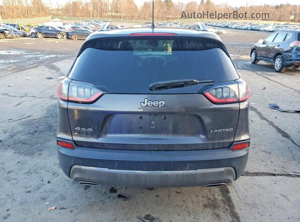 1C4PJMDX4MD124748 2021 JEEP CHEROKEE Gray Հետևի տեսք
