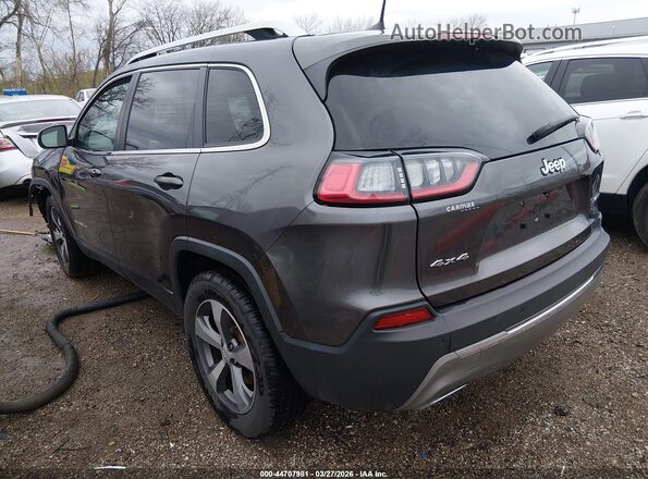 1C4PJMDX8LD656244 2020 JEEP CHEROKEE Gray Tył lewy