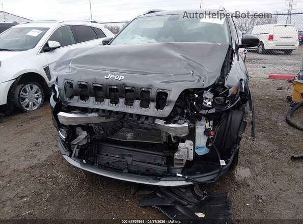 1C4PJMDX8LD656244 2020 JEEP CHEROKEE Gray Widok z przodu