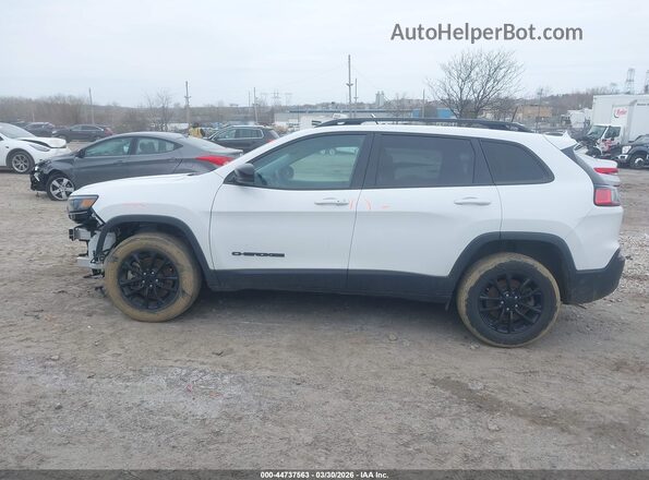 1C4PJMMB4PD106873 2023 JEEP CHEROKEE White Widok wnętrza z tyłu