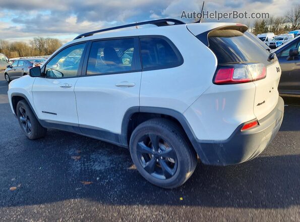 1C4PJMMB8PD103698 2023 JEEP CHEROKEE Белый Задняя левая четверть