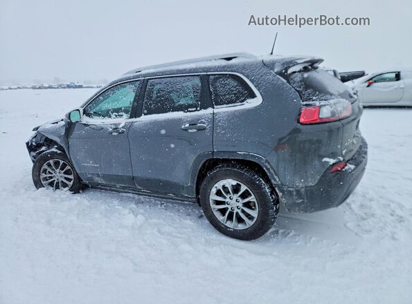 1C4PJMMXXMD216527 2021 JEEP CHEROKEE Gray Задня ліва чверть