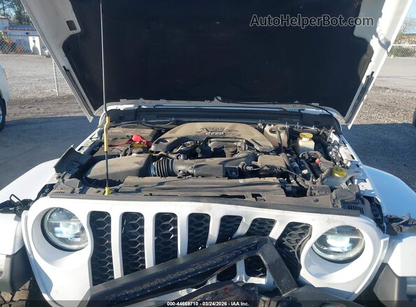1C6HJTAG6ML557732 2021 JEEP GLADIATOR Белый Вид сзади