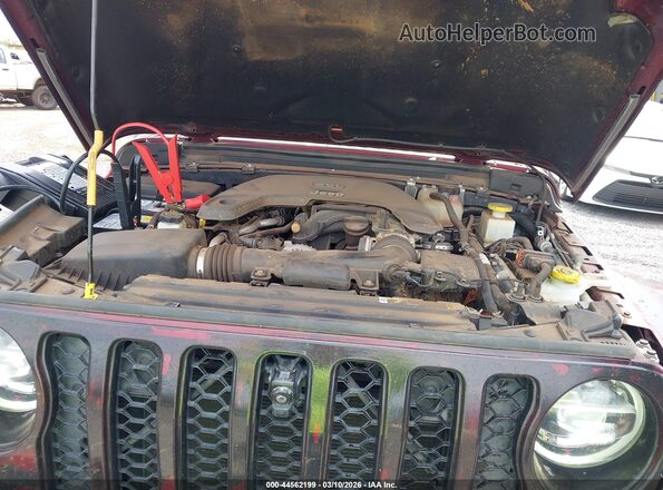 1C6HJTFGXML567088 2021 JEEP GLADIATOR Maroon Widok z tyłu