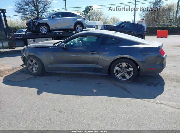 1FA6P8AM0H5339495 2017 FORD MUSTANG Gray 