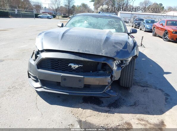1FA6P8AM0H5339495 2017 FORD MUSTANG Gray უკანა სალონის ხედი