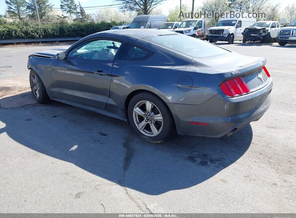 1FA6P8AM0H5339495 2017 FORD MUSTANG Gray უკანა მარცხენა
