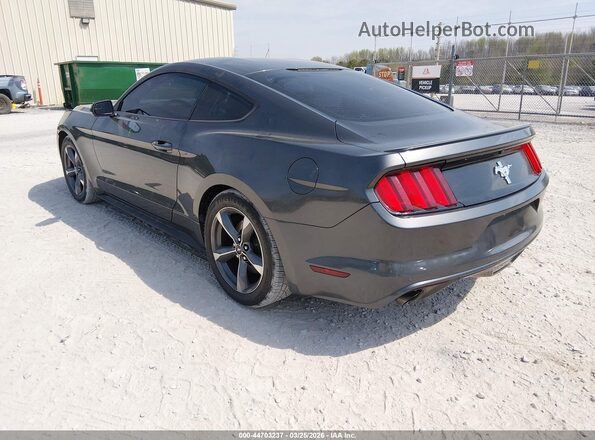 1FA6P8AM8G5309403 2016 FORD MUSTANG Gray Rear left