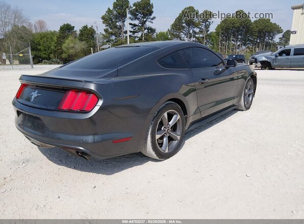 1FA6P8AM8G5309403 2016 FORD MUSTANG Gray Rear right