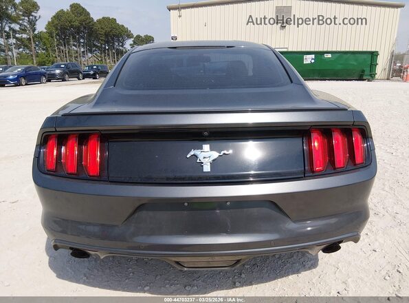 1FA6P8AM8G5309403 2016 FORD MUSTANG Gray 