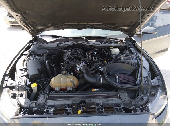 1FA6P8AM8G5309403 2016 FORD MUSTANG Gray Rear view