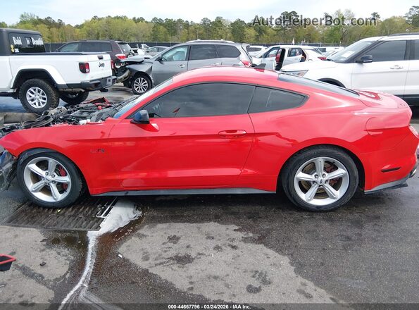 1FA6P8CF0M5116530 2021 FORD MUSTANG Red Սալոնի 360 աստիճան տեսք