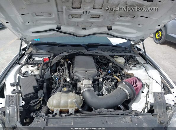 1FA6P8CF4K5106113 2019 FORD MUSTANG White 