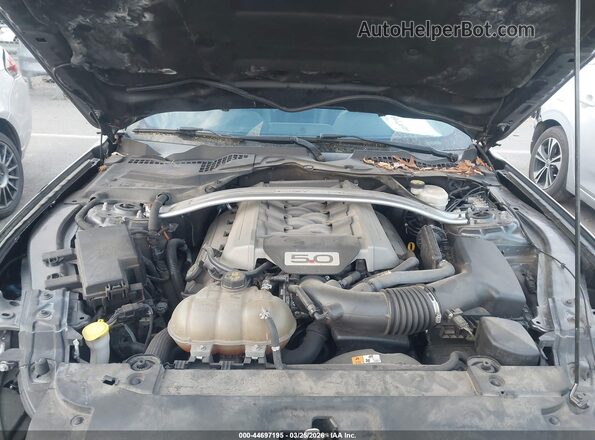 1FA6P8CF5G5228213 2016 FORD MUSTANG Gray უკანა ხედი