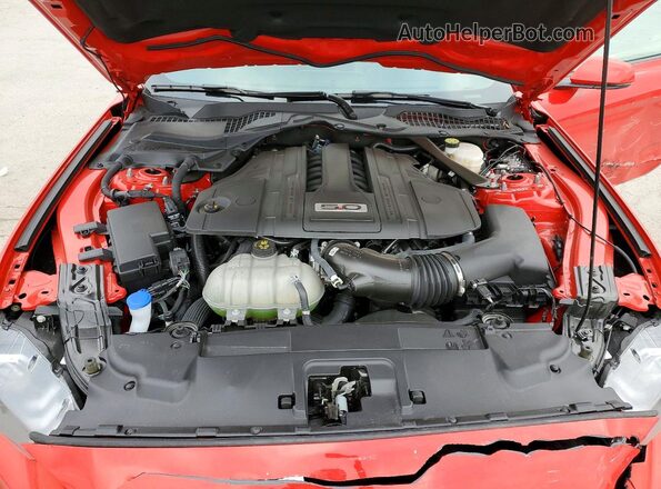 1FA6P8CF7M5128657 2021 FORD MUSTANG Красный Вид задней части салона