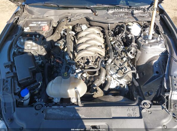 1FA6P8CF7P5303591 2023 FORD MUSTANG Gray უკანა ხედი