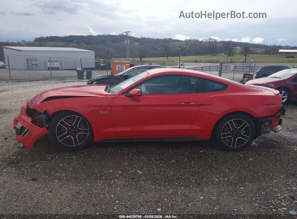 1FA6P8CF9K5157803 2019 FORD MUSTANG Red 