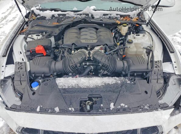 1FA6P8CF9R5418499 2024 FORD MUSTANG White Rear interior view