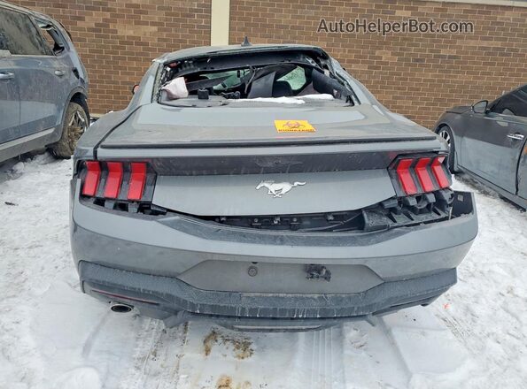 1FA6P8TH0R5120800 2024 FORD MUSTANG Gray Vista trasera