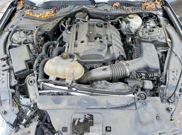 1FA6P8TH1K5132492 2019 FORD MUSTANG Black 