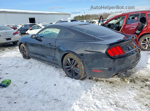 1FA6P8TH2H5304540 2017 FORD MUSTANG Black Tył lewy