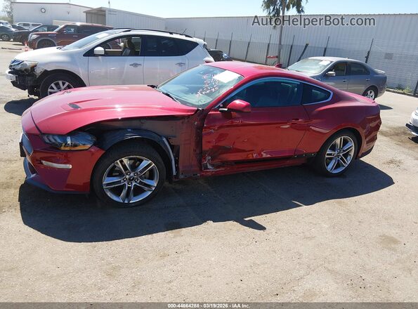 1FA6P8TH3M5112974 2021 FORD MUSTANG Burgundy 