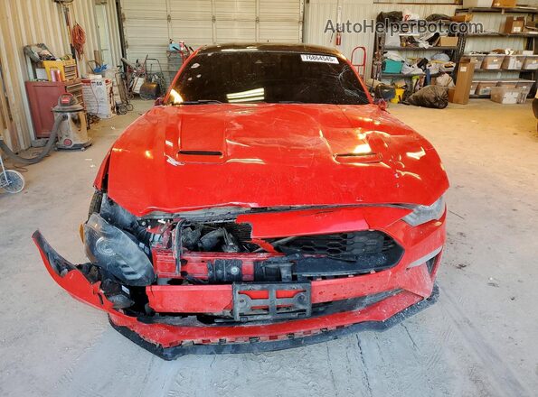 1FA6P8TH5M5146429 2021 FORD MUSTANG Red Vista frontal